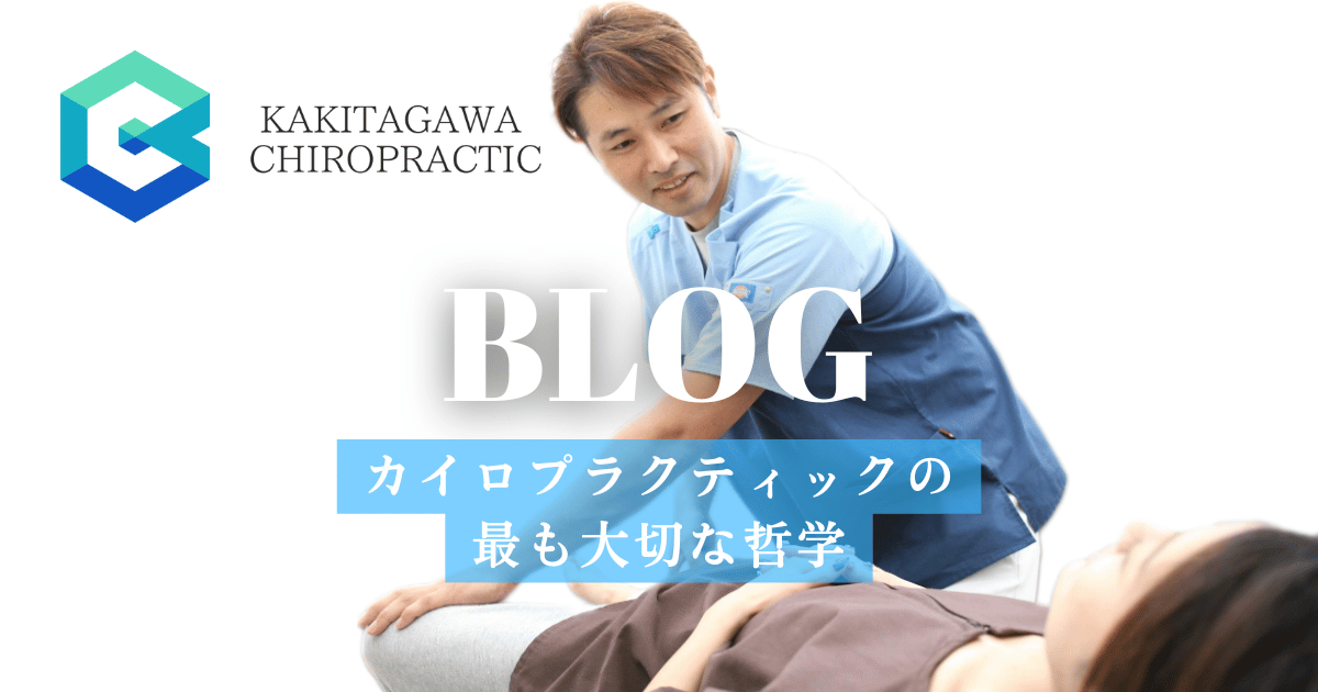 カイロプラクティックの最も大切な哲学 ～背骨と生命力の調和が紡ぐ 