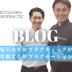 塩川カイロプラクティックが考察するサブラクセーションと