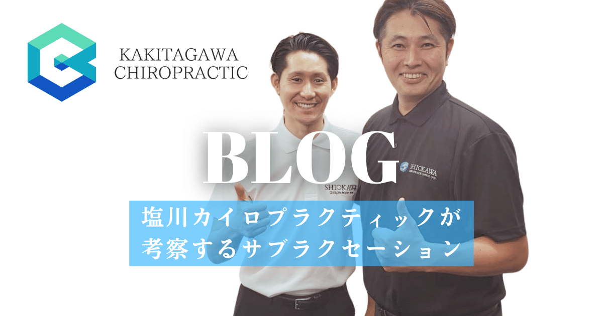 塩川カイロプラクティックが考察するサブラクセーションと