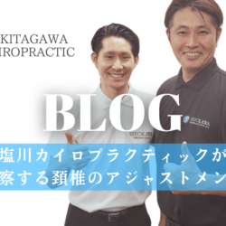 塩川カイロプラクティックが考察
