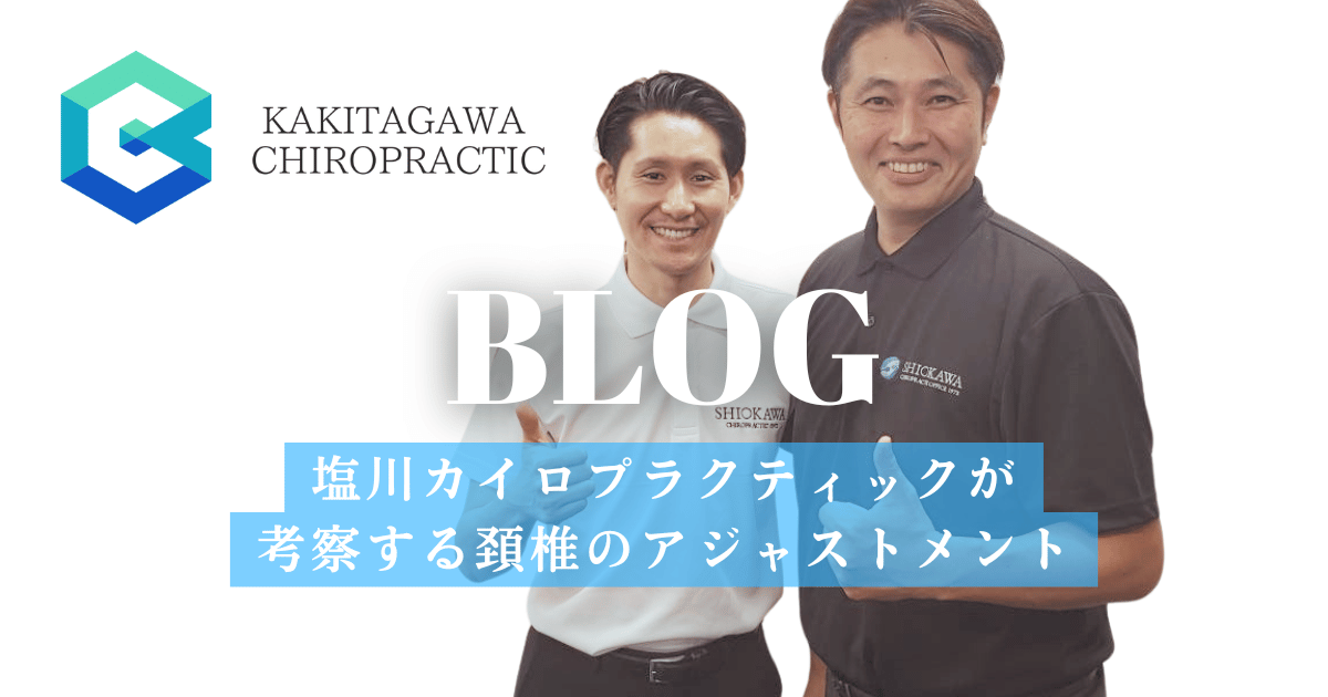 上部頸椎アジャストメント　塩川満章 上部頸椎アジャストメント 塩川満章 塩川カイロプラクティックが考察