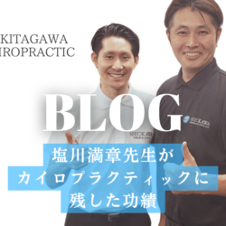 希少‼️ 「治る力」を引き出す正統カイロプラクティック 塩川満章著