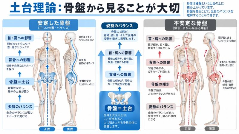 土台理論:骨盤の状態が首・背骨・姿勢に影響することを示した図
